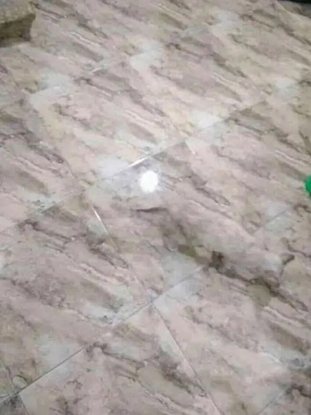 7 Potret Kucing saat Berkamuflase Ini Bikin Mikir Keras