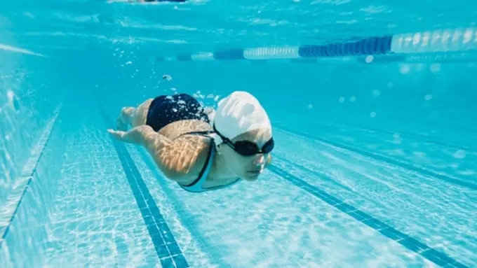 Copyright by Shutterstock.com