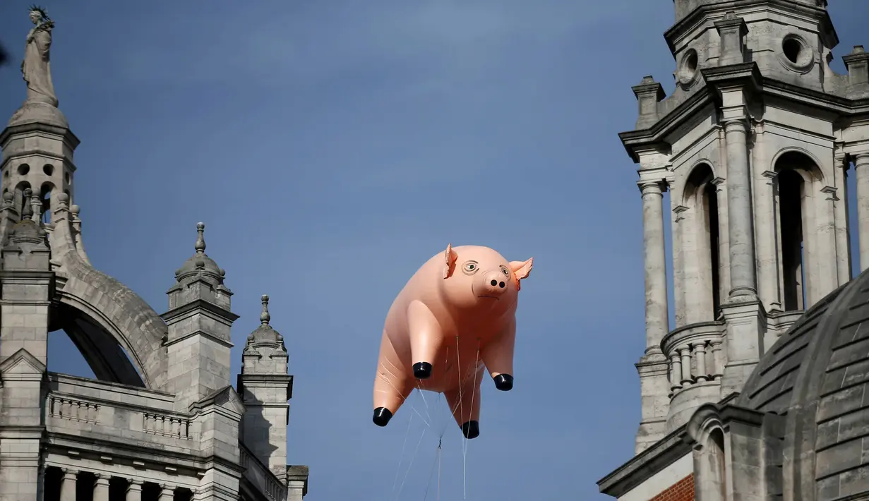 Balon udara berbentuk babi melayang di atas Victoria and Albert Museum di London, Inggris, Rabu (31/8). Balon babi berwarna pink milik Pink Floyd itu untuk mempromosikan acara "The Pink Floyd Exhibition: Their Mortal Remains". (REUTERS/Peter Nicholls)