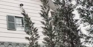 Rumah Arya Saloka (Instagram/arya.saloka)