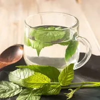 ilustrasi seduhan daun/eugenehill/Shutterstock