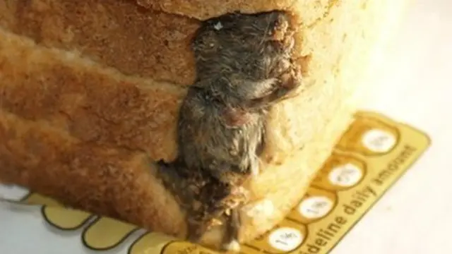 Foto: copyright huffingtonpost.com