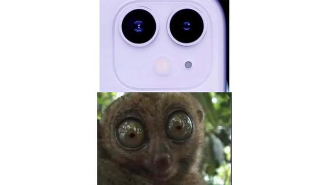 iPhone 11 mirip sama binatang apa ya? (Sumber: Istimewa)