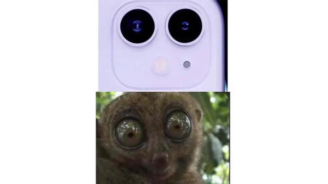 iPhone 11 mirip sama binatang apa ya? (Sumber: Istimewa)