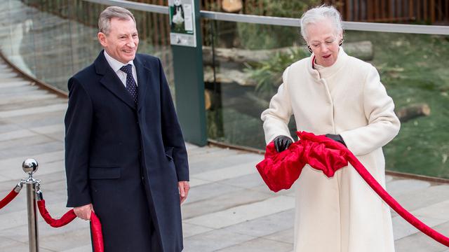 Panda di Kebun Binatang Kopenhagen