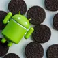 Android Oreo. Dok: androidpit.com