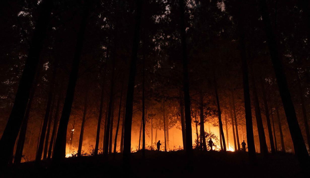 Warga bergotong royong memadamkan vegetasi yang terbakar selama kebakaran hutan di kota Florida dekat kota Concepcion, Chile, pada Senin 19 Januari 2026. Pemerintah Chile menetapkan status darurat nasional setelah kebakaran hutan hebat melanda wilayah selatan negara itu. (Raul BRAVO/AFP)