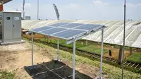 Desa Tawangargo Jadi Model Masa Depan Pertanian Berkelanjutan di Indonesia