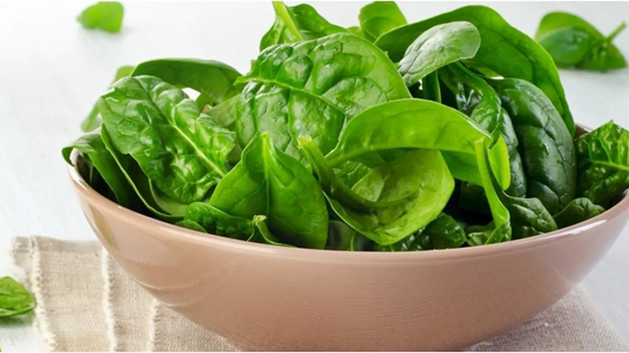 Foto : copyright shutterstock.com