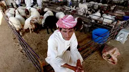 Seorang penjual menunggu pembeli hewan kurban menjelang Idul Adha di sebuah pasar ternak di Kuwait pada 5 Agustus 2019. Umat Islam di seluruh dunia akan merayakan Idul Adha yang identik dengan tradisi berkurban dengan hewan seperti kambing, domba, unta, sapi dan kerbau. (Yasser Al-Zayyat/AFP)