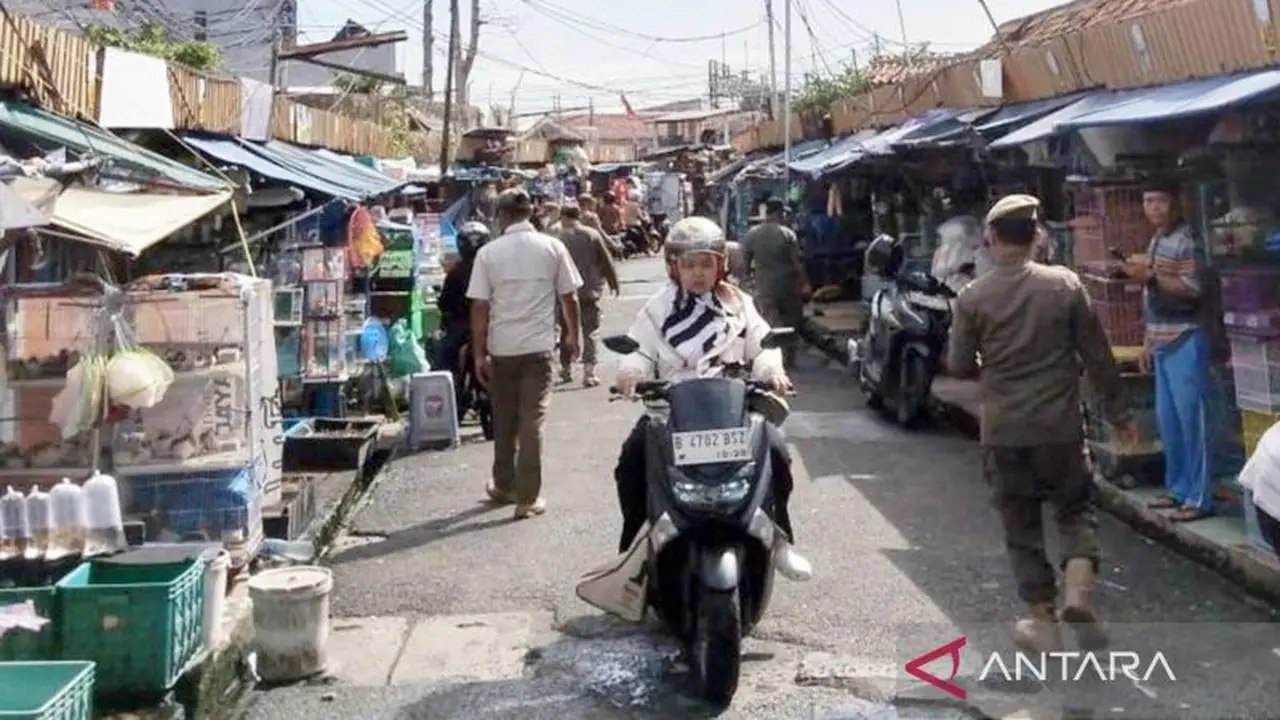 Petugas gabungan di lingkungan Pemerintah Kota (Pemkot) Jakarta Timur (Jaktim) melakukan penertiban terhadap pedagang kaki lima (PKL) di Jalan Kemuning, RW 06, Balimester, Jatinegara, Jakarta Timur, Jumat.  (Antara)