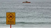 Pantai Coogee Kembali Dibuka Usai Serangan Hiu