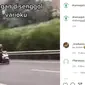 Viral Pemotor Nekat Masuk Jalan Tol (Ist)