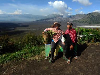 Warga merawat tanaman daun bawang yang dapat dipanen setahun tujuh kali di kebun dengan latar belakang Gunung Bromo di Seruni Point, Pasuruan, Jawa Timur, Minggu (30/4/2023). (merdeka.com/Arie Basuki)