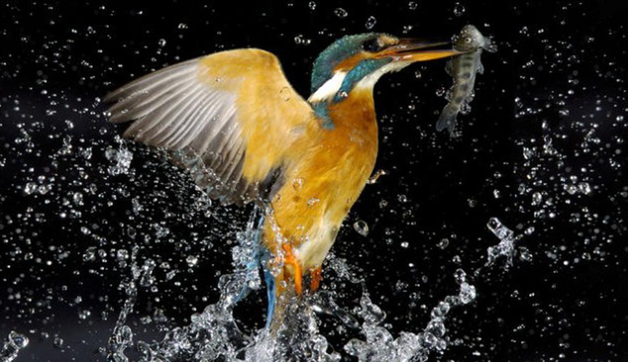 Foto Foto Hasil Fotografi  Slow Motion yang Unik dan 