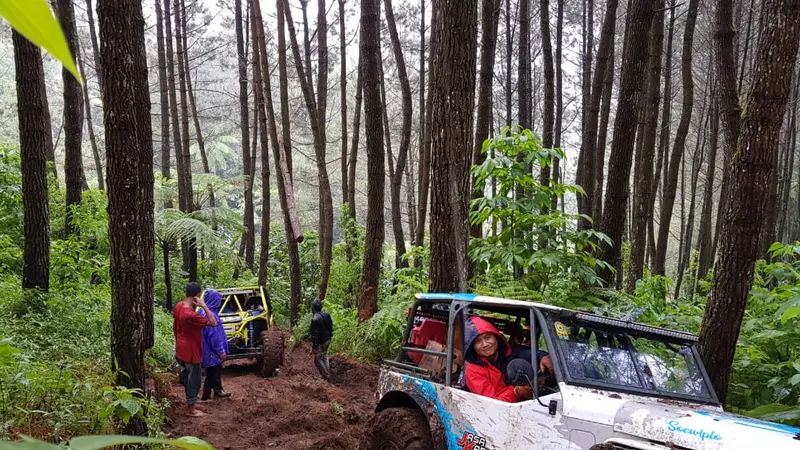 salah satu rute kawasan hutan pinus Gunung Cikuray Garut