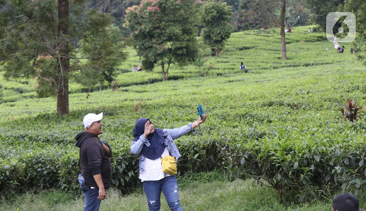 Warga berfoto di kawasan wisata Kebun teh Puncak Kabupaten Bogor Jawa Barat, Sabtu (31/10/2020). Libur panjang peringatan Maulid Nabi Muhammad SAW dimanfaatkan warga untuk mengunjungi lokasi-lokasi wiisata. (Liputan6.com/Helmi Fithriansyah)
