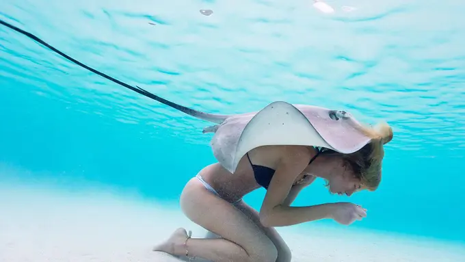 Cuma Berbikini, Para Perempuan Ini Berenang dengan Pari Beracun