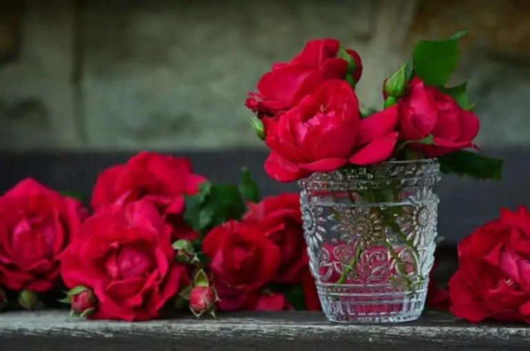 Untuk mencegah perayaan hari Valentine, pemerintah Arab Saudi melarang pembelian atau penjualan mawar merah pada hari tersebut.