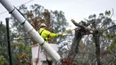 Pekerja memotong dahan pohon yang menimpa kabel listrik setelah badai Florence menerjang Morganton, Carolina Utara, AS, Minggu (16/9). Badai meluluhlantakkan sepanjang Pesisir Timur, menumbangkan pepohonan, dan jaringan listrik. (AP Photo/Kathy Kmonicek)