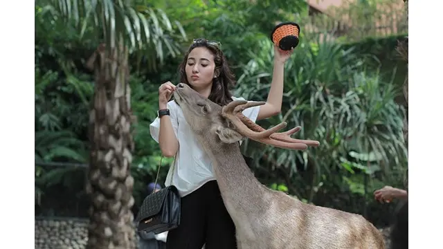 7 Pesona Naomi Zaskia yang Tampil Kompak dengan Sule di Pernikahan Siti Badriah