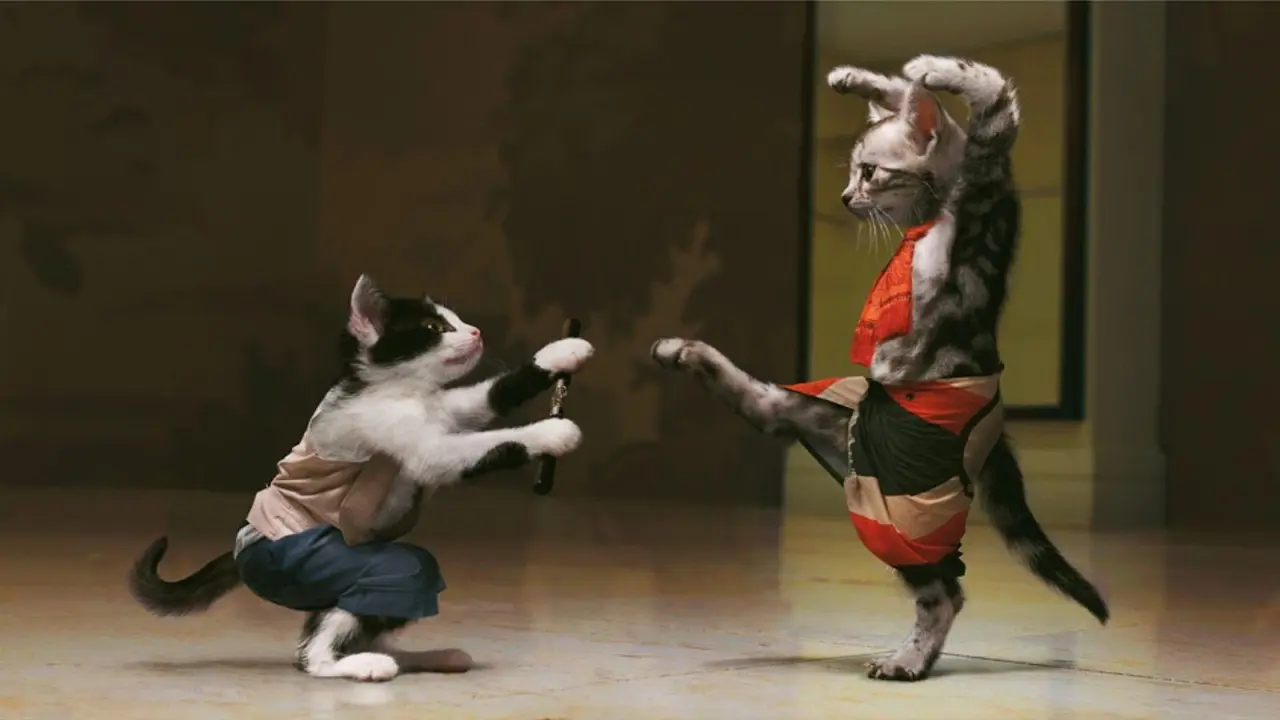 Bukan Cuma Manusia, Kucing Juga Bisa Joget ala Michael Jackson!
