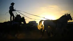 Pria Palestina mengenakan topi Stetson Cowboy melakukan atraksi dengan kudanya selama Arabian Horse Show di Kota Gaza, Palestina (3/3). (AFP Photo / Mohammed Abed)