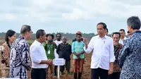 Menteri Investasi/Kepala Badan Koordinasi Penanaman Modal (BKPM), Bahlil Lahadalia&nbsp;mendampingi Presiden Joko Widodo melakukan penanaman tebu pertama di PT Global Papua Abadi, Kampung Sermayam, Distrik Tanah Miring, Kabupaten Merauke, Provinsi Papua Selatan.