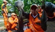 Pemprov DKI Anggarkan Rp 250 Juta untuk Kajian Ikan Sapu-Sapu