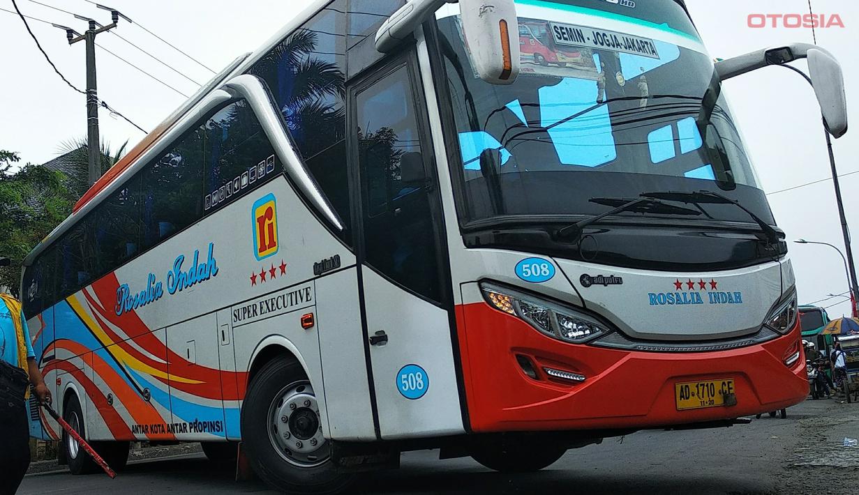 Hino RK-8 R 260 merupakan sasis dari Hino, brand kendaraan besar asal Jepang. Sasis ini dibekali mesin J08E-UF  6 silinder 7684cc yang dapat menghasilkan 260hp pada 2500rpm dan torsi hingga 745nm pada 1500rpm. Sasis ini paling banyak digunakan di Indonesia karena selain harganya yang murah dan sparepart melimpah, sasis ini juga memiliki mesin yang cukup tangguh. Dari segi kenyamanan, sasis ini menggunakan suspensi leaf spring. Namun Hino sempat meluncurkan sasis Hino RK-8 dengan suspensi udara sebelum akhirnya berhenti diproduksi dan digantikan dengan Hino RK 280 yang dengan tenaga yang lebih besar.