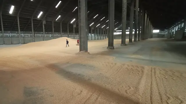 Ketersediaan Kedelai Di Gudang Kota Cilegon, Banten. (Kamis, 07/01/2021). (Liputan6.com/Yandhi Deslatama).