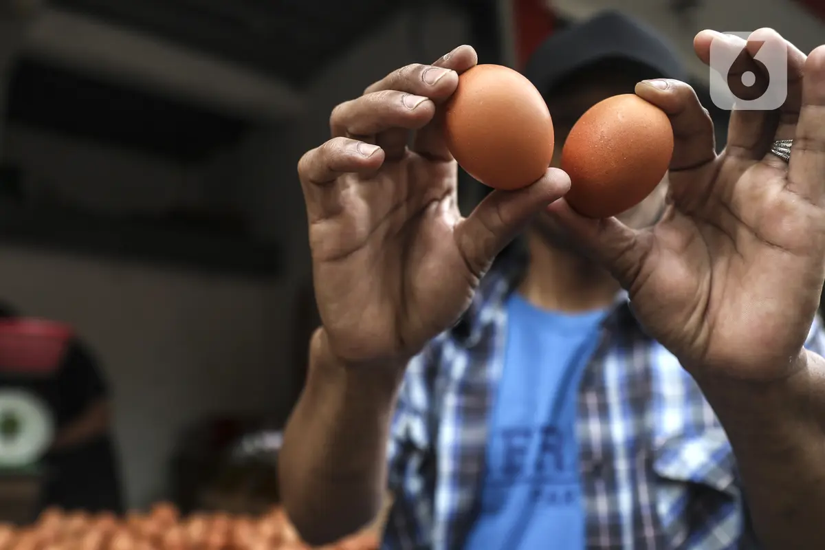 FOTO: Harga Telur Ayam Hampir Sentuh Rp 30 Ribu per Kg
