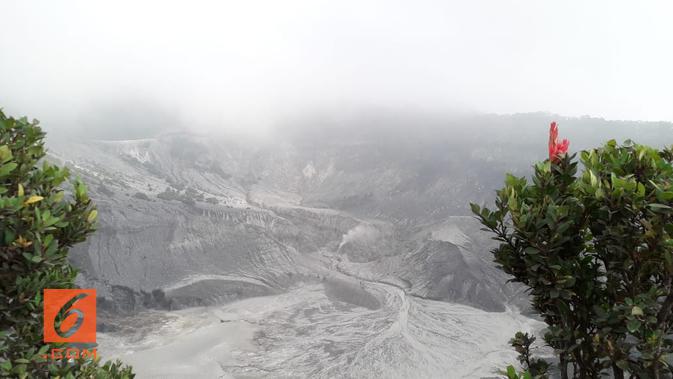 Pemandangan Kawah Ratu Gunung Tangkuban Parahu dua pekan sebelum erupsi (Liputan6.com/Komarudin)