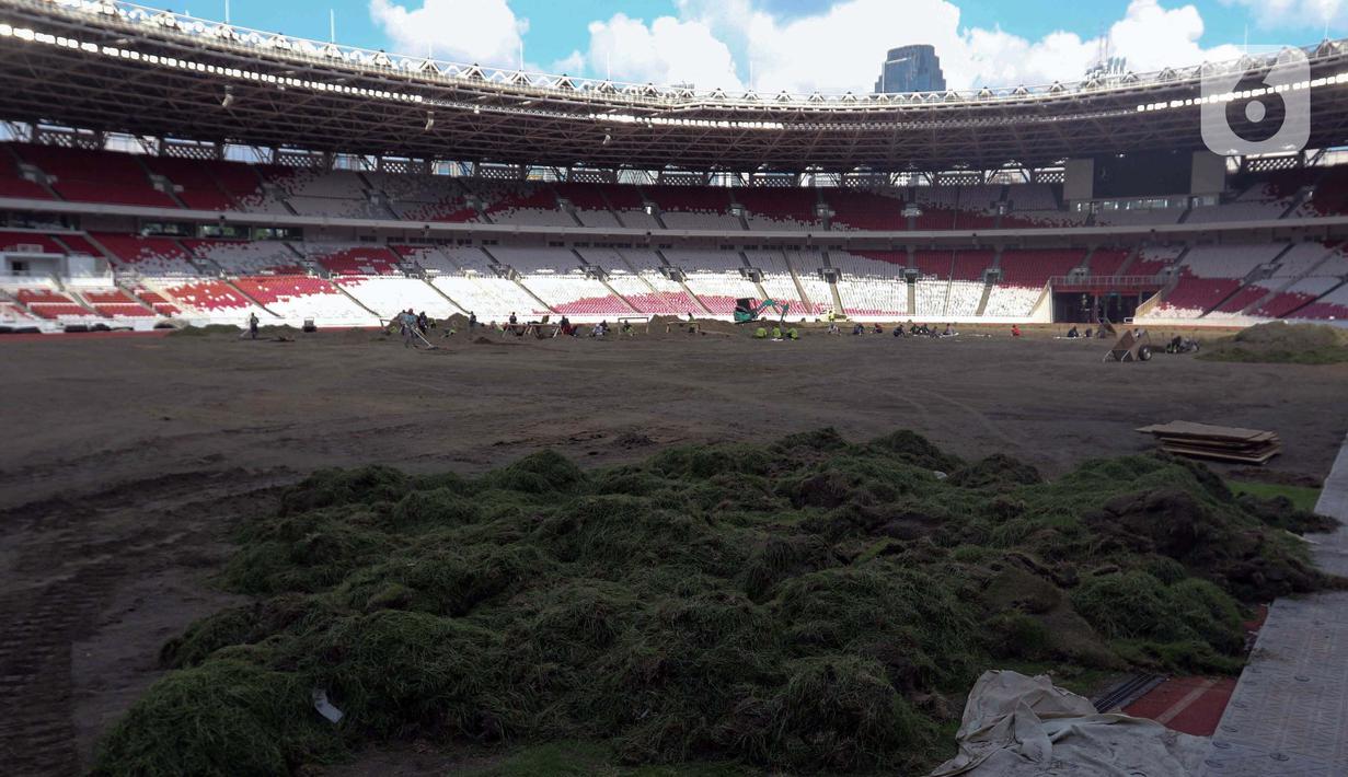 Revitalisasi dilakukan agar lapisan rumput dapat menyesuaikan dengan iklim dan cuaca di Jakarta. (Liputan6.com/Herman Zakharia)