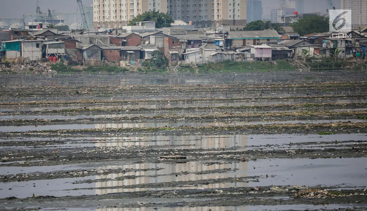 Kondisi waduk Pluit yang mengalami pendangkalan di wilayah Penjaringan, Jakarta Utara, Sabtu (8/6/2019). Endapan lumpur cukup tebal yang diperparah dengan sampah menutupi permukaan air waduk tersebut mengantarkan aroma tidak sedap. (Liputan6.com/Faizal Fanani)