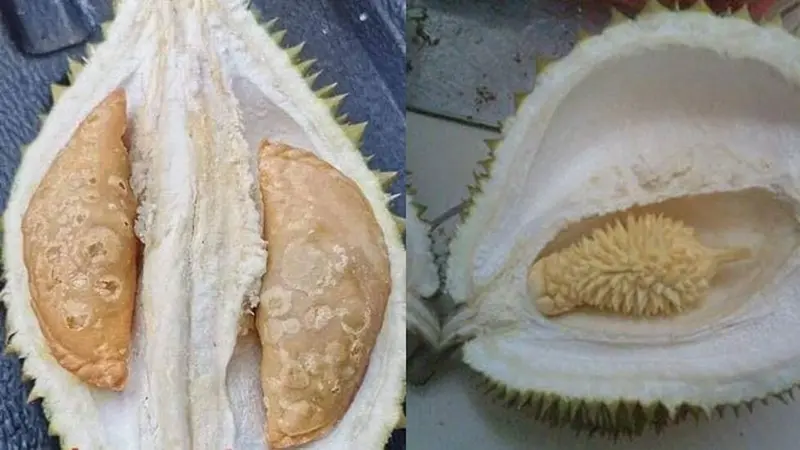 6 Potret Isi Durian Ini Nyeleneh Banget, Bikin Terheran-Heran