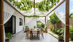 Model Teras Estetik dengan Tanaman Rambat Anggur sebagai Kanopi Alami.