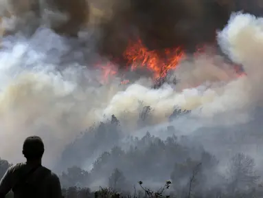 Seorang relawan melihat kebakaran hutan yang melanda Bukit San Marcos di wilayah munisipalitas Villa de Leyva, Departemen Boyacá, Kolombia, pada 20 September 2026.(LUIS LIZARAZO / AFP)