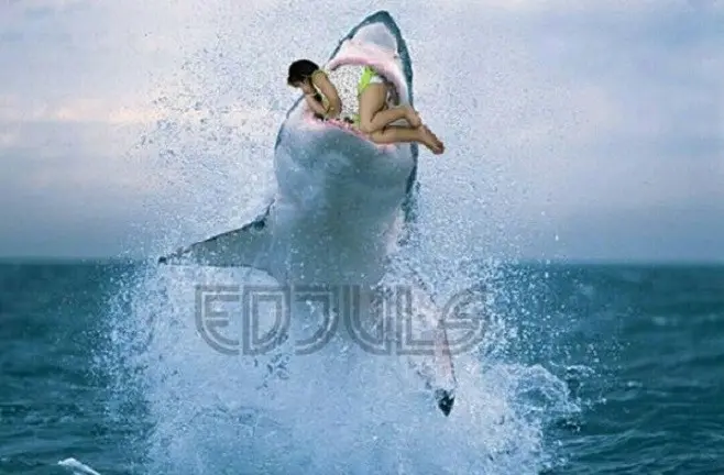 (Foto: Brilio.net) Editan foto dengan hiu.