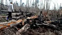 Areal hutan yang terbakar di kawasan hutan penyangga Taman Nasional Bukit Tigapuluh di Batang Gangsal, Indragiri Hulu, Riau.(Antara)