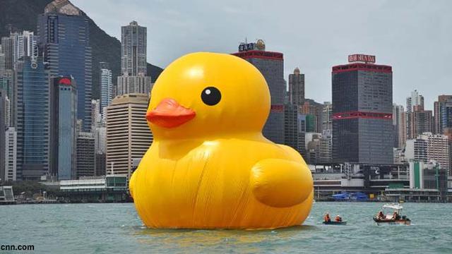 Rekaman Video Bebek Jumbo Berenang Di Pelabuhan Hong Kong Global Liputan6 Com