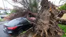 Petugas berdiri di samping lubang besar atau sinkhole di jalanan Studio City usai hantaman badai di Los Angeles, California, (18/2). Akibat kejadian ini Dua mobil jatuh ke dalam lubang besar dengan kedalaman 20 kaki tersebut. (AP Photo/Ringo H.W. Chiu)