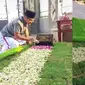 Viral Pria Ini Makamkan Ibunya di Halaman Rumah Sendiri, Alasannya Bikin Haru. (Sumber: TikTok/adhefin)