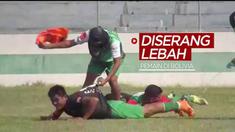 Berita video peristiwa menarik terjadi di Bolivia, laga sepak bola terhenti selama 2 jam karena para pemainnya diserang sekelompok lebah.