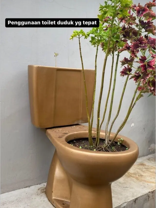 6 Potret Penggunaan Toilet Duduk Ini Nyeleneh, Absurd Banget