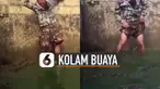 Puluhan buaya itu pun langsung menyambutnya dengan menadahkan moncongnya.