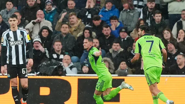 Newcastle vs Fulham
