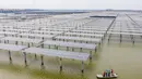 Teknisi listrik memeriksa panel-panel surya fotovoltaik di Wilayah Baoying, China (5/11/2020). Wilayah Baoying berupaya mengembangkan agrikultur ekologis melalui penggabungan budidaya ikan dengan pembangkit listrik tenaga surya, sebagai cara mendorong revitalisasi kawasan perdesaan. (Xinhua/Li Bo)