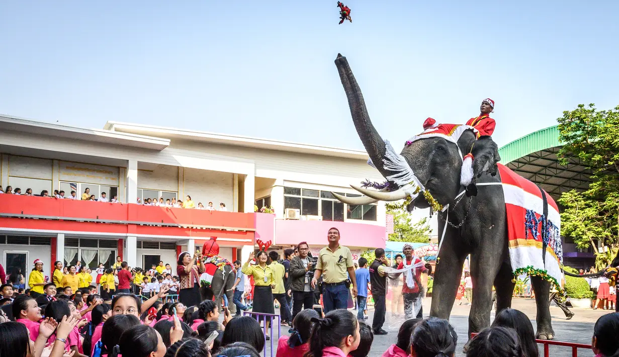 Gajah berkostum sinterklas memberikan hadiah kepada para siswa saat perayaan Natal di sekolah Jirasartwitthaya, Provinsi Ayutthaya, Thailand, Senin (23/12/2019). Kendati warga Thailand sebagian besar beragama Buddha, perayaan Natal adalah hal biasa. (Mladen ANTONOV/AFP)