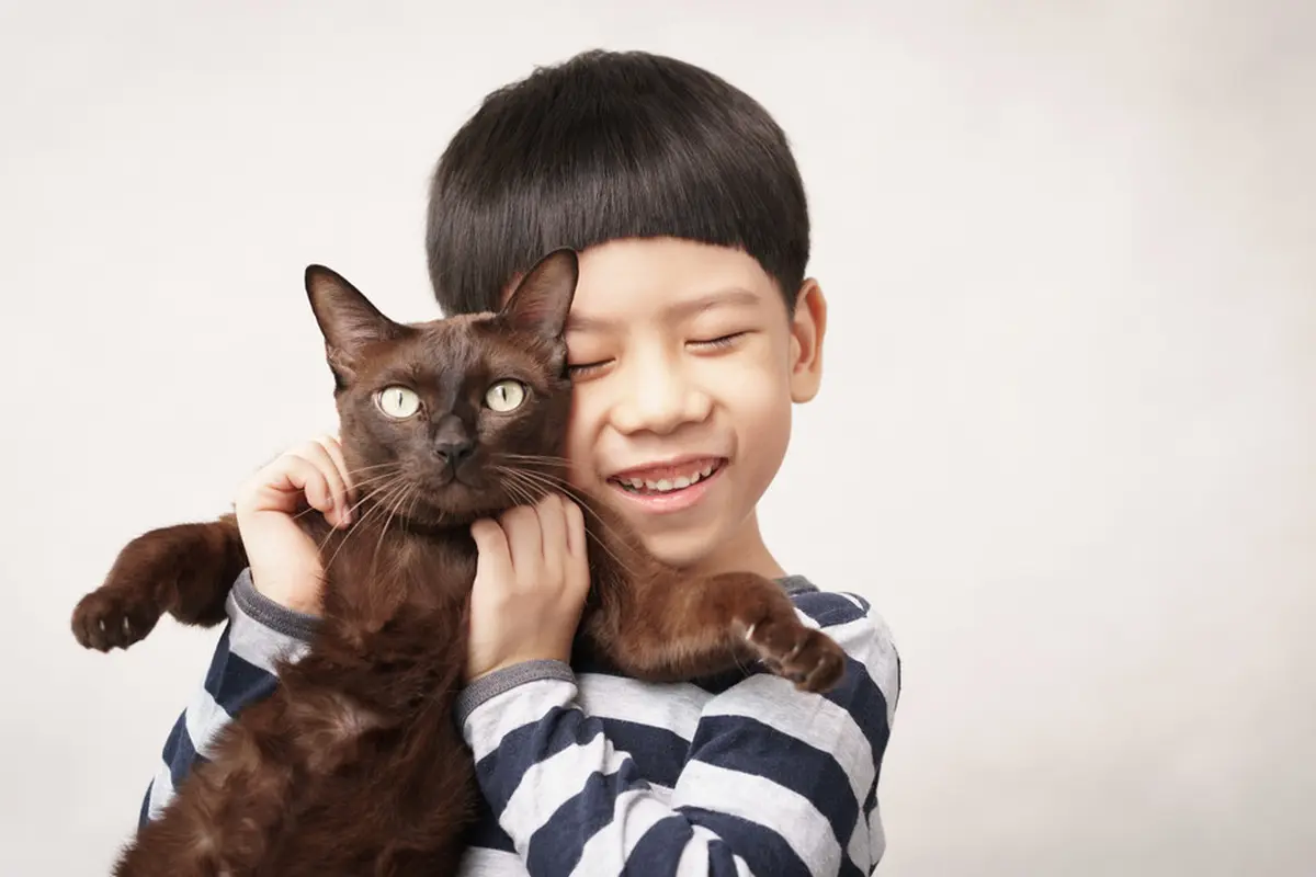 Rahasia Bikin Kucing dan Si Kecil Jadi Teman Baik Sampai Dewasa
